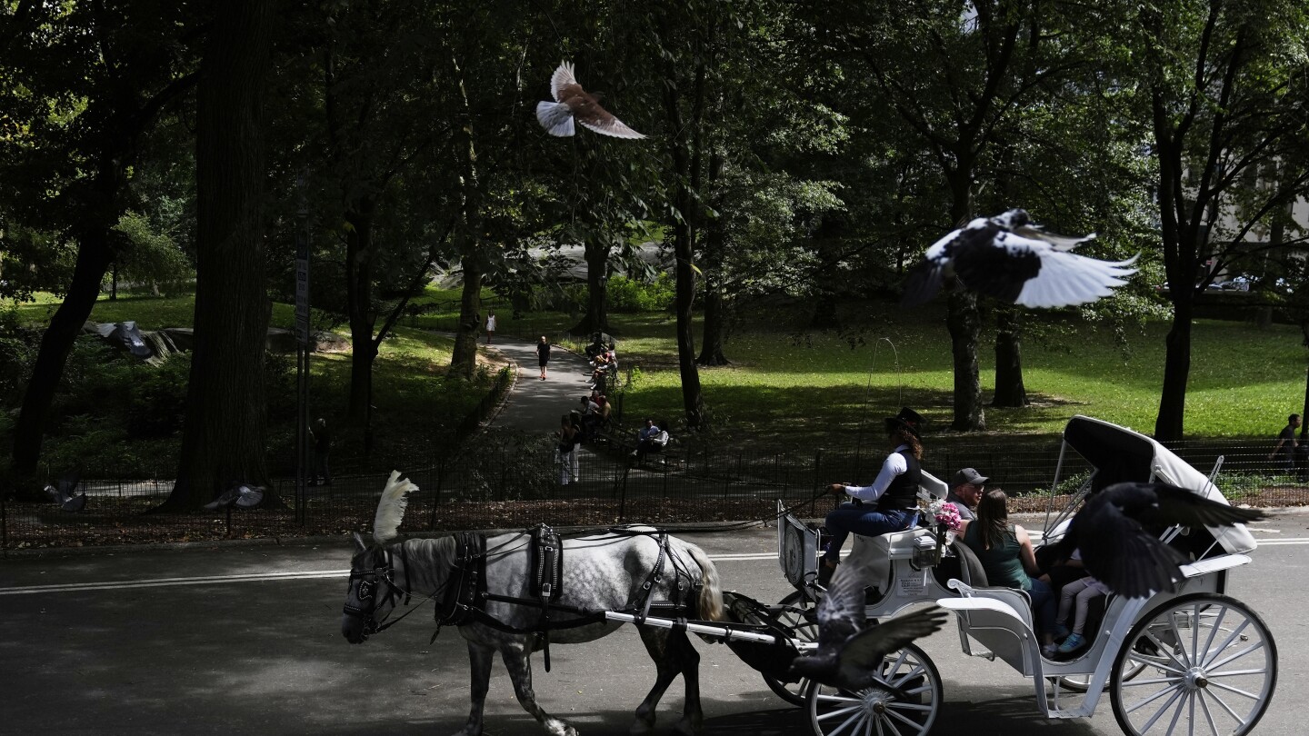 New York City mayor backs proposed ban on Central Park’s horse-drawn carriages