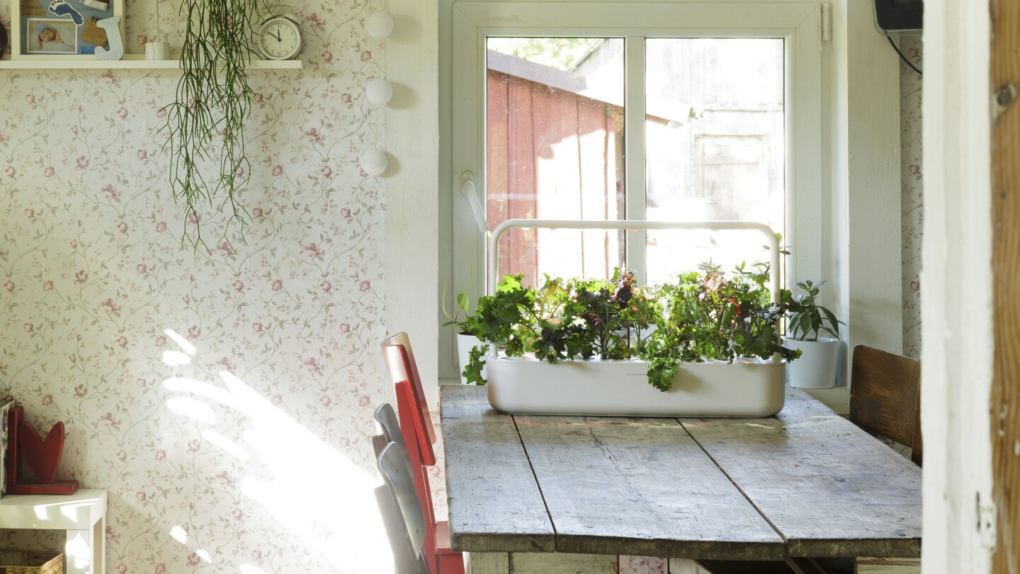 Smart gardening uses technology and AI to foster healthy plants