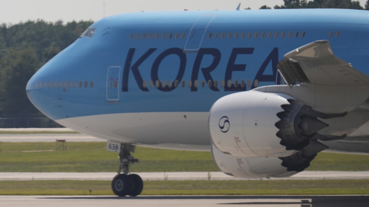 South Koreans detained in immigration raid head home