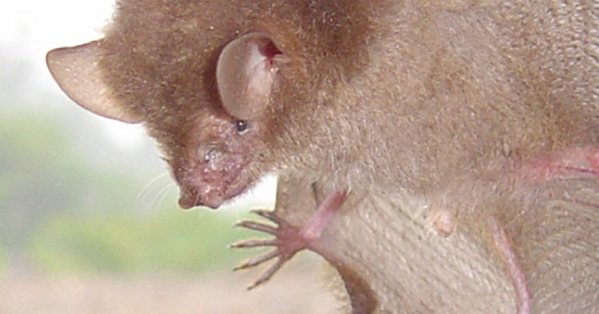 <br />
<b>Warning</b>:  Undefined variable $myimgalt in <b>/www/wwwroot/centerheight.com/wp-content/themes/ennews001/single.php</b> on line <b>213</b><br />
