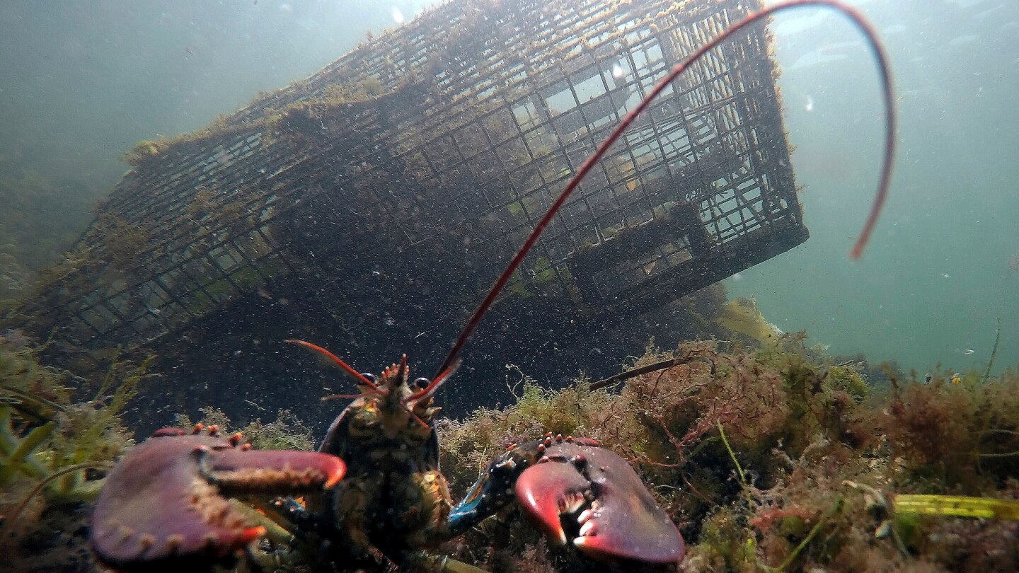 <br />
<b>Warning</b>:  Undefined variable $myimgalt in <b>/www/wwwroot/centerheight.com/wp-content/themes/ennews001/single.php</b> on line <b>213</b><br />
