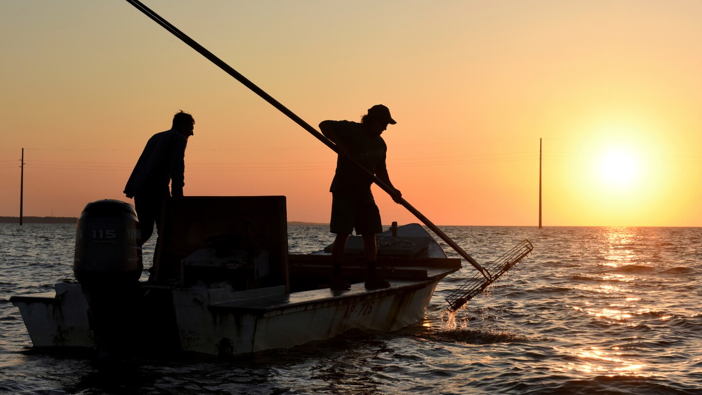 <br />
<b>Warning</b>:  Undefined variable $myimgalt in <b>/www/wwwroot/centerheight.com/wp-content/themes/ennews001/single.php</b> on line <b>213</b><br />
