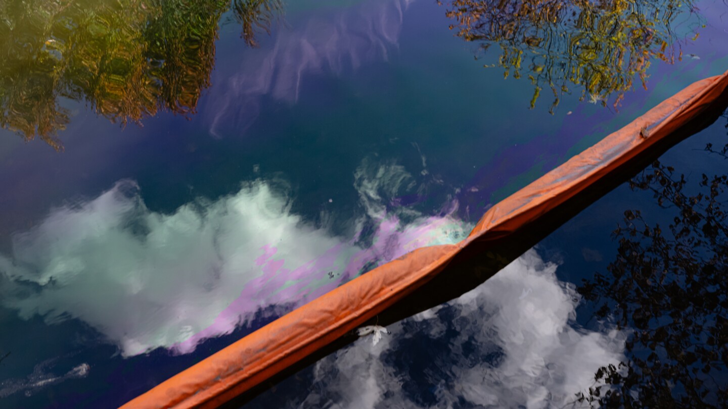 <br />
<b>Warning</b>:  Undefined variable $myimgalt in <b>/www/wwwroot/centerheight.com/wp-content/themes/ennews001/single.php</b> on line <b>213</b><br />
