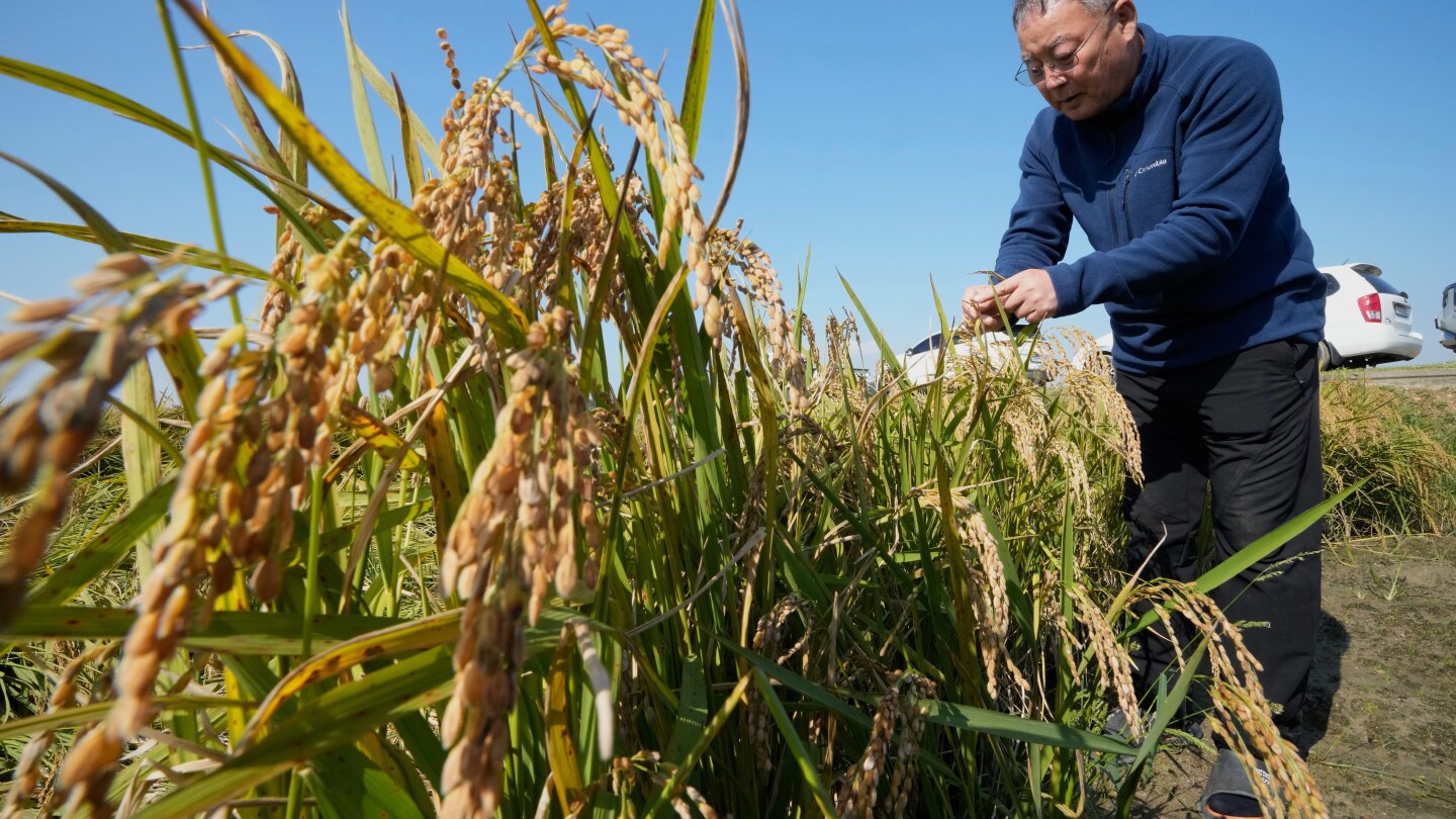 <br />
<b>Warning</b>:  Undefined variable $myimgalt in <b>/www/wwwroot/centerheight.com/wp-content/themes/ennews001/single.php</b> on line <b>213</b><br />
