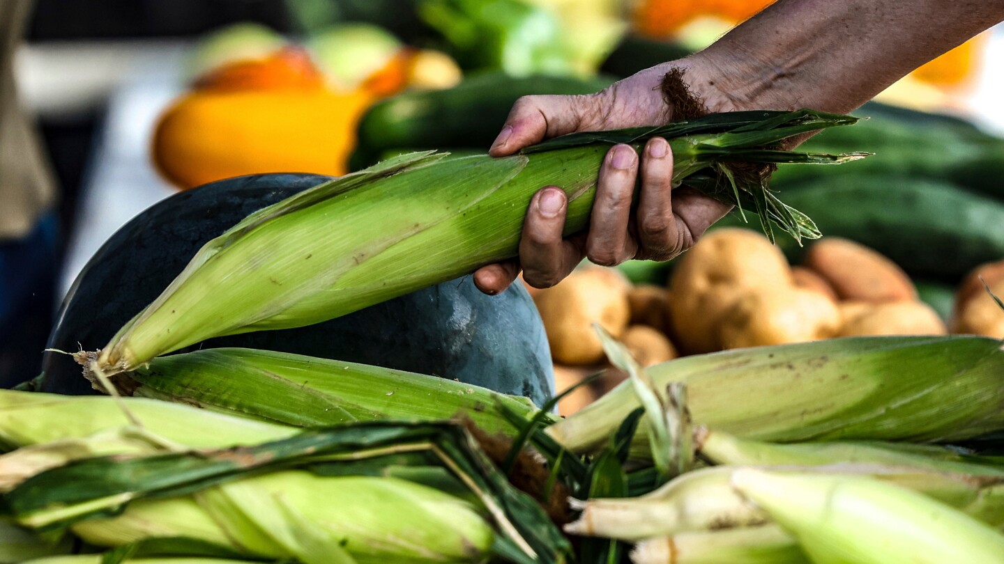 Shopping for sustainable food? Try looking outside the grocery store