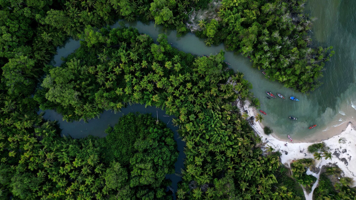 <br />
<b>Warning</b>:  Undefined variable $myimgalt in <b>/www/wwwroot/centerheight.com/wp-content/themes/ennews001/single.php</b> on line <b>213</b><br />
