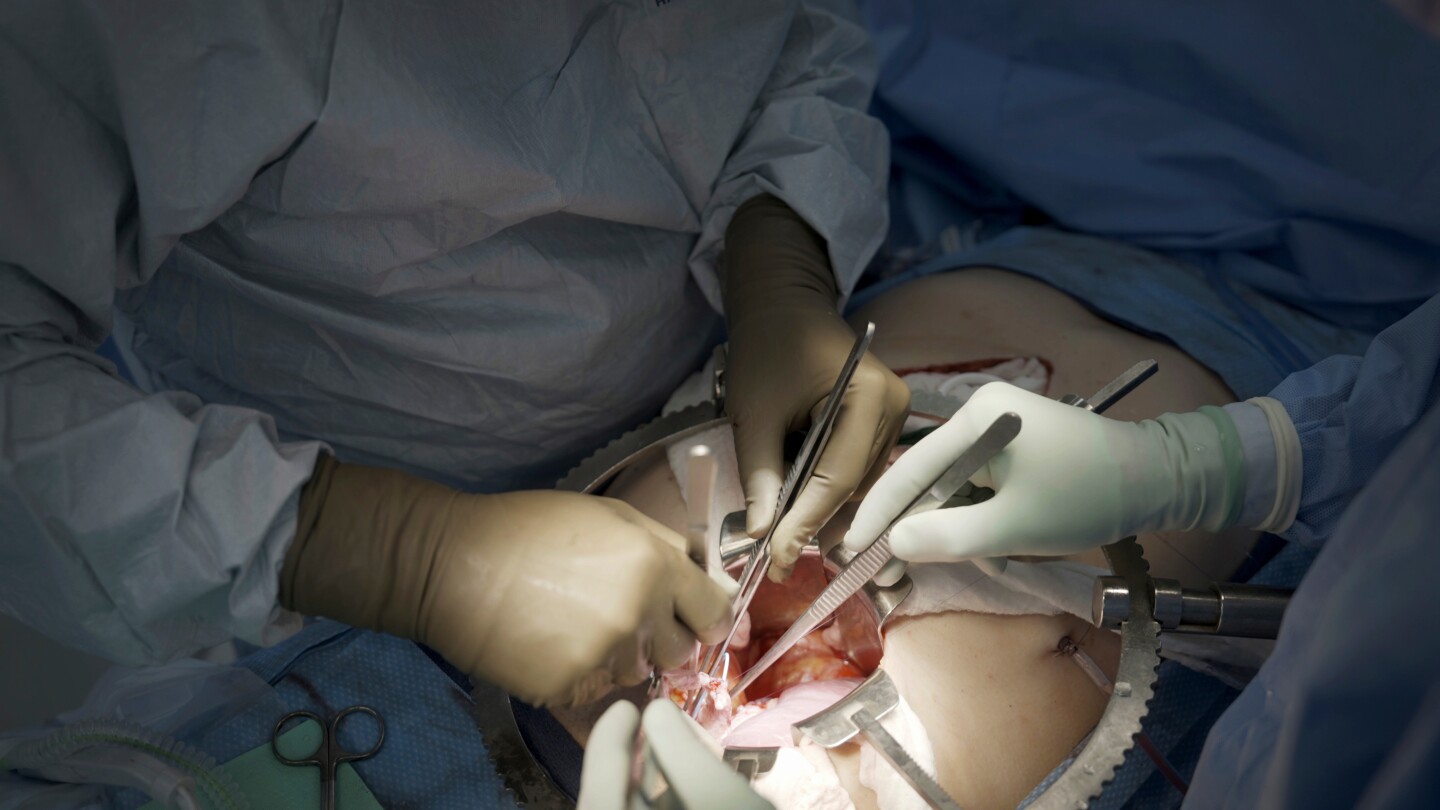 <br />
<b>Warning</b>:  Undefined variable $myimgalt in <b>/www/wwwroot/centerheight.com/wp-content/themes/ennews001/single.php</b> on line <b>213</b><br />
