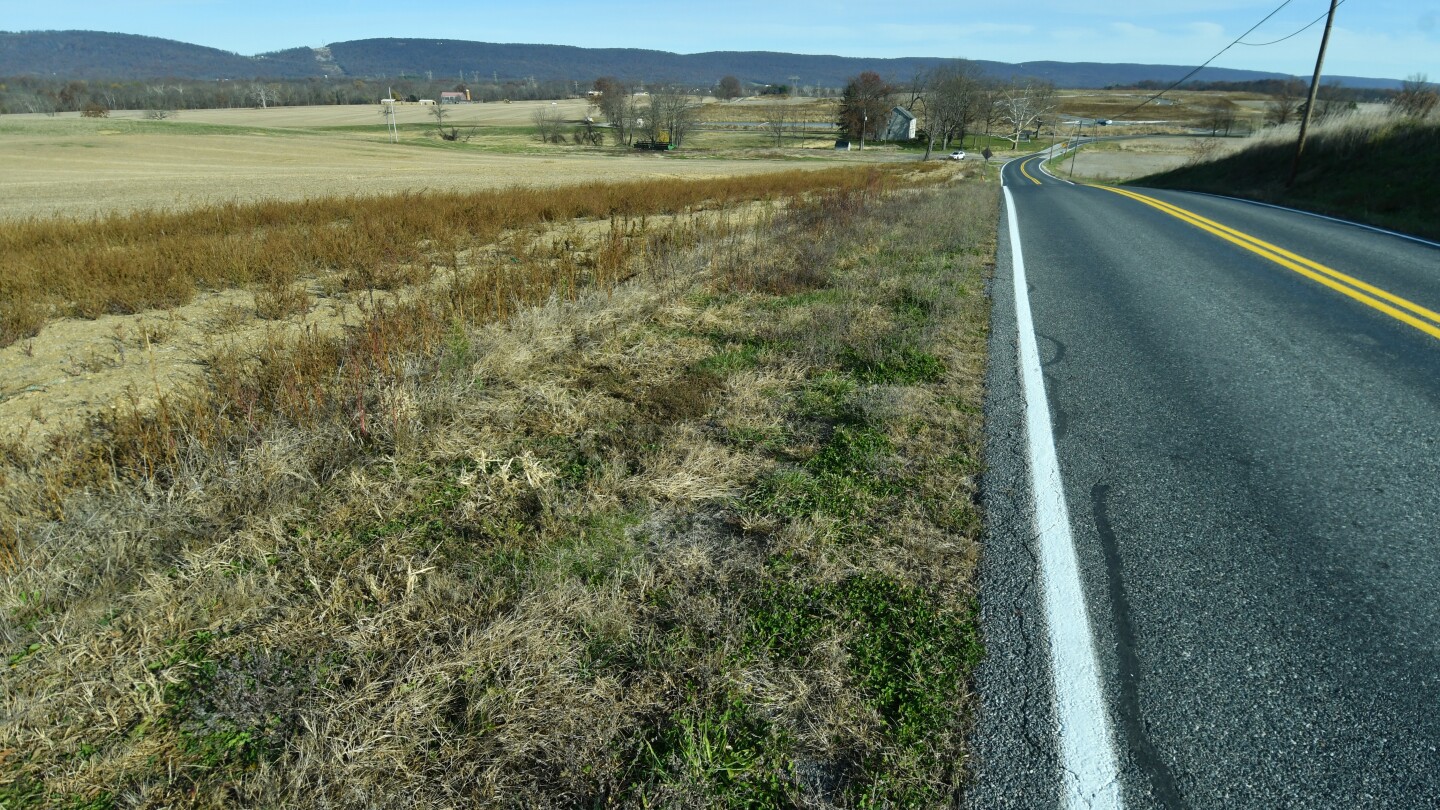 <br />
<b>Warning</b>:  Undefined variable $myimgalt in <b>/www/wwwroot/centerheight.com/wp-content/themes/ennews001/single.php</b> on line <b>213</b><br />
