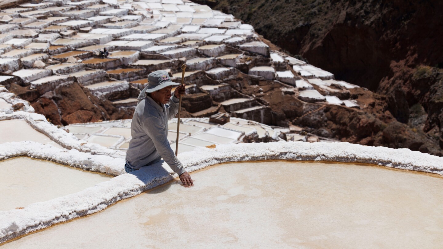 <br />
<b>Warning</b>:  Undefined variable $myimgalt in <b>/www/wwwroot/centerheight.com/wp-content/themes/ennews001/single.php</b> on line <b>213</b><br />
