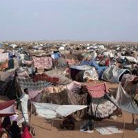 From the Andes to Darfur: Colombians lured to Sudan’s killing fields | National