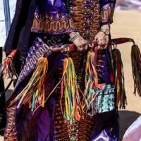 Sahara celebrates desert cultures at Chad festival | National